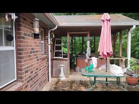 Birds showing off lol. ;) 