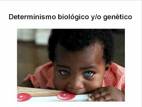 El Determinismo