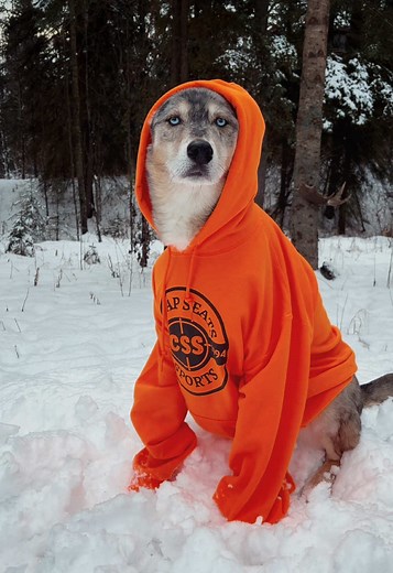 THE GOODEST BOY REPPING CHEAP SEATS SPORTS! DON’T FORGET TO TAG US IN YOUR PHOTOS WEARING OUR APPAREL FOR A CHANCE TO BE FEATURED ON OUR PAGE!! #cheapseatssports #athabasca #alberta #sportinggoods #fishing #icefishing #wintersports #hunting #archery #hiking #hockey #baseball #soccer #supportsmallbusiness #smallbusiness #supportlocal