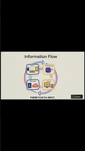 How Computers Process Information | Input, Processing, Output & Storage