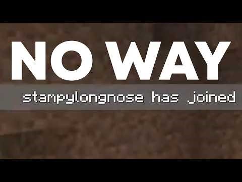 I played Minecraft With Stampy