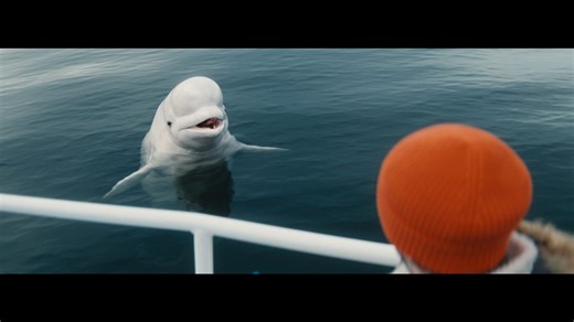 NerdWallet Super Bowl debut commercial has interesting talking co-star featured