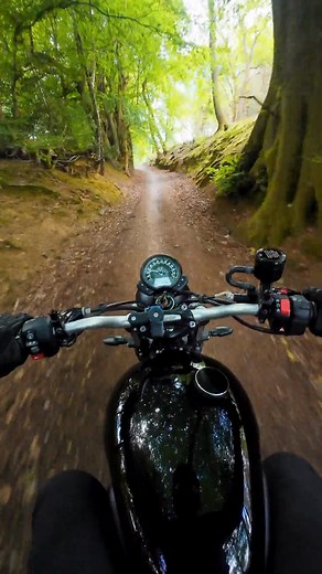 Discover our range of easy-to-fit, Expertly Designed Triumph Exhausts. ✅ Built By Hand In Britain ✅ Highest-Grade Materials ✅ Superior Look & Quality 🔈 Unrivalled sound | Hitchcox Motorcycles