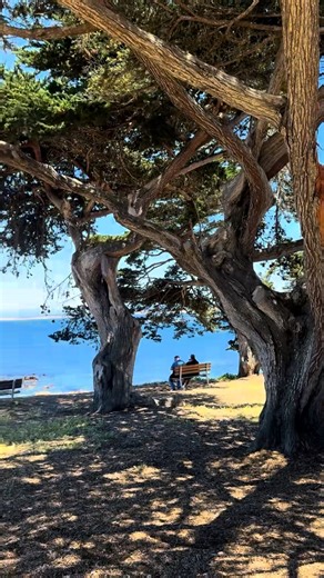 🚴‍♀️🏃‍♂️🐾 Ride, jog, or stroll along the Monterey Bay Coastal Recreational Trail right here in Pacific Grove. Locals and visitors alike find everyday magic in these coastal views. Come make a memory in our corner of paradise. 🌊💙 | Pacific Grove Chamber