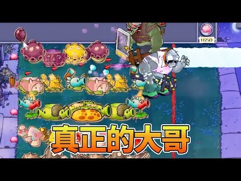 【植物大战僵尸合集】：只有真正的大哥，才会带头冲锋