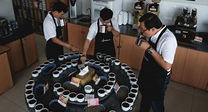 Famosa empresa de café entró en bancarrota y ya despidió a más de 300 empleados