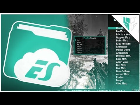[BO1 1.13] HOW TO INJECT A GSC + NONHOST MENU WHILE USING THE SPRX LOADER PORTED HEN BY VINICIN13K
