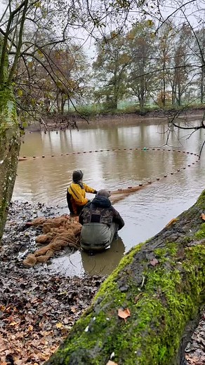 It’s netting day at the lake! #carp #carplake #fishing #carpfishingexplained
