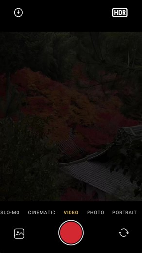 紅葉はとても美しい🍁 红叶很漂亮🍁 #東京 #紅葉