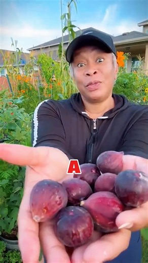 “Unbelievable Fruit Tricks From China You Must See! 😲🍉”