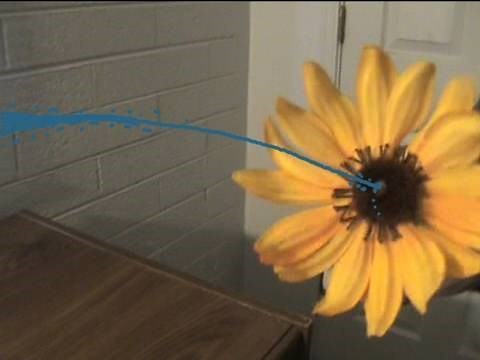 How To Make a Squirting Flower! | Nextraker