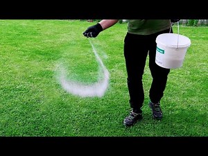 Get Rid of Crabgrass & Clover in the Lawn! Organic Solution!