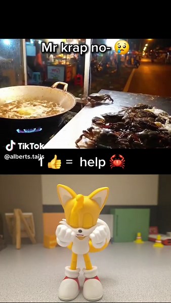 Hilarious Tails and Sonic Memes and Pranks Compilation