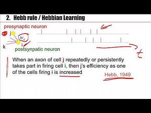 Synaptic Plasticity and Learning in the Brain