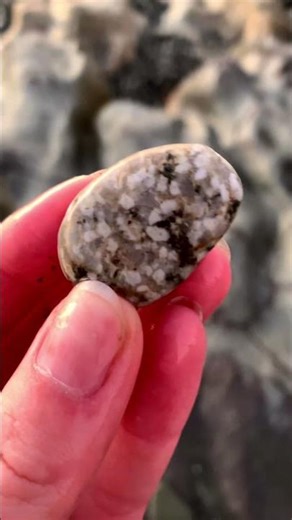 Saving the best for last 🥰 #rockfinds