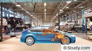 Normocytic Anemia: Definition and Causes