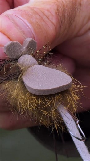 #fishing #flyfishing #troutfishing #mousefishing #fyp | Fishing