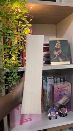 First book in 2026💙✨#khmernovel #book #ប្រលោមលោក #ព្រោះជនទី៣ជាsuperstar #fyp @Sodavann-Author