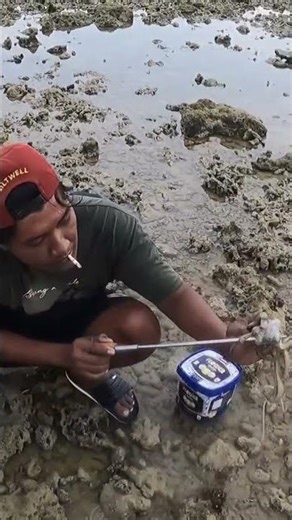 hunting large octopus using traditional tools