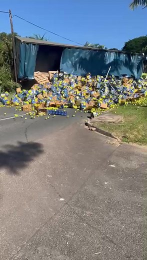 When you mess up really really bad #fyp #follow4more #truckers #trucking #horseandtrailer #viral #