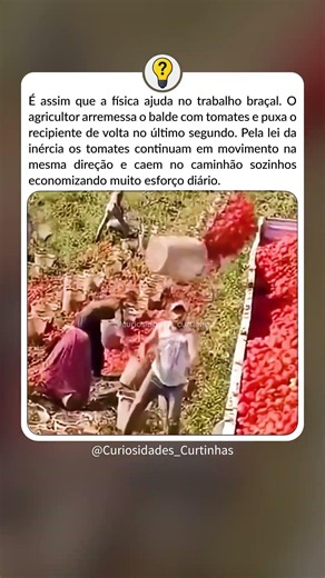 Trabalhador usando física a seu favor #curiosidades