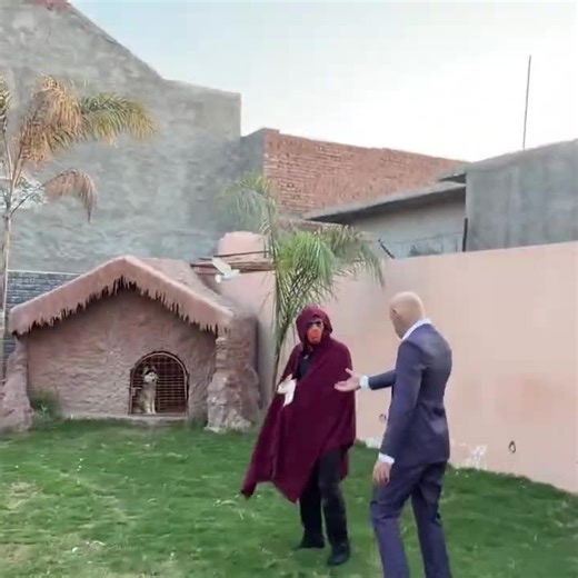 #shehrmaindehat #shehrmaindihat #dailyvlog #fyp