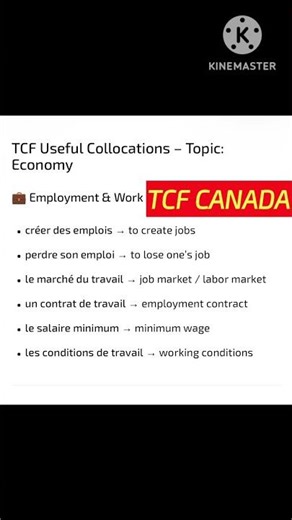 Learn French for TCF CANADA/ TEF CANADA|| French Learning Platform|| French for beginners