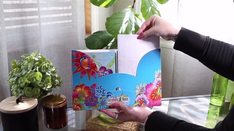 Leanin' Tree The Brilliant Colors of Laurel Burch Greeting Cards Assortment Box, Made In USA, 20 Assorted Cards with Envelopes All Occasion, Cute Stationery Set for Women with Bright Stunning Artwork