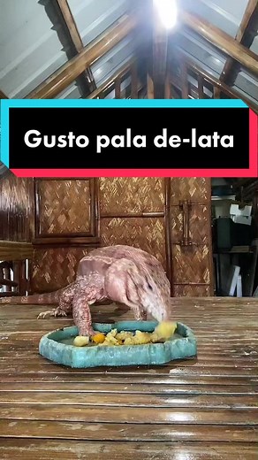 Nica Gutierrez on TikTok