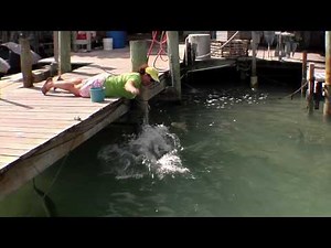 Feed the Tarpon at Robbie's in Islamorada