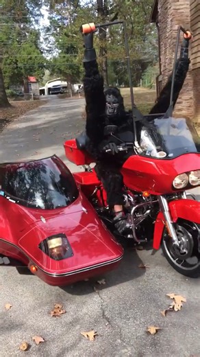 1M views · 12K reactions | The wildest biker in town just showed up  | Harley Davidson People | Facebook