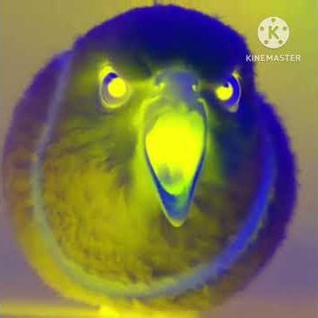 tennis bird effects (patrocínado por preview 2 effects)
