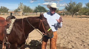 Two pieces of tack that I use daily are the Black Rope Martingale and the Ultimate Caveson. These are wonderful tools that complement each other and create a softer, more responsive horse. They are part of my Al Dunning Collection by Professional's Choice and available at AD Tack (www.aldunning.com). #TeamPC | Al Dunning
