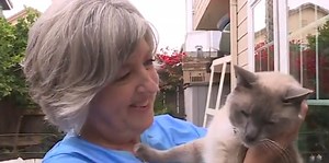 Missing cat in Yellowstone National Park returns home after three months
