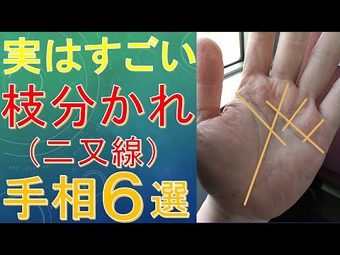 【手相占い】すごい二又線（枝分かれ線）６選！太陽線・財運線・運命線・感情線・知能線・生命線別に解説