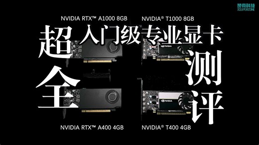 【全网首发】最新入门级 NVIDIA RTX 专业显卡 VS 上一代，超全性能测评！