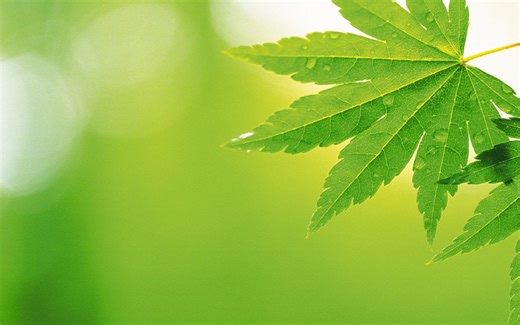 三分钟学会 视频各种格式的相互转换