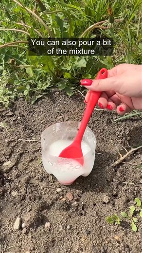 Natural way to deal with ant trails | Clever Life Hacks | Facebook