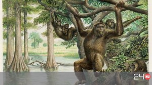 Magyarországi lelet segít megérteni az emberi evolúciót | 24.hu