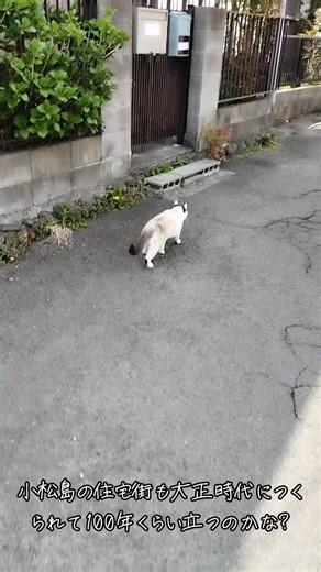 #仙台市 #小松島 #歴史 #戦前