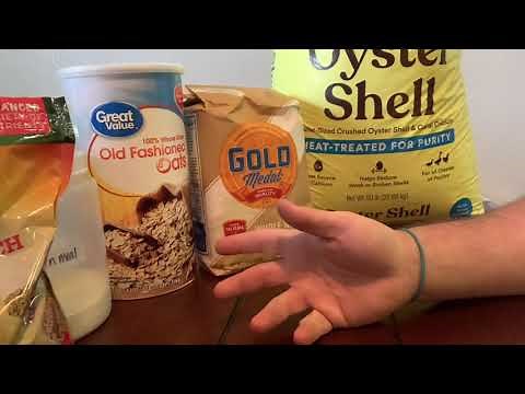 How to make worm chow at home from scratch! DIY worm food.
