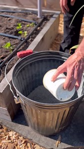 Peppers are planted! We’re vertically string trellising the varieties with the heaviest fruit (bells and poblanos) to help keep the plants upright and prevent branch breakage. ➡️ BTW: THE FREYR TRELLIS IS ON SALE NOW 🎉 - it’s our first sale of the year, and it only last for 4 days! Stock of some colors is limited, so check out the sale now (link in bio) ⬅️ Back to the peppers: We planted 8 peppers along this 8’ Freyr trellis, and another 16 in front of those. We fertilized the entire bed with a