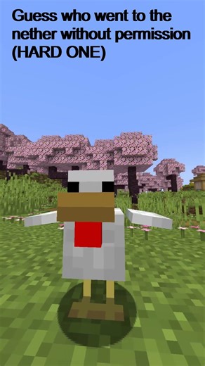 Guess who went to the nether without permission (Impossible Mode) #minecraft