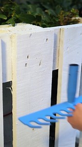 7.5M views · 31K reactions | Affordable tips for your backyard | 5-Minute Crafts Men | Facebook