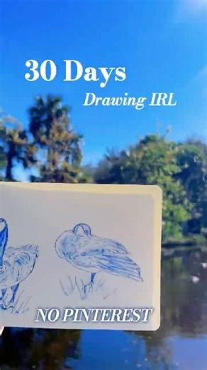 Day 20 of 30 Days Drawing from Real Life - Non-Migrating Canada Geese