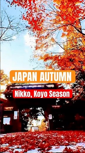 Autumn in Japan: A Red Leaf Storm at Nikko Temple 🍁