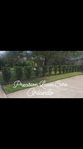 Precision Lawn Care Orlando on Reels | Facebook