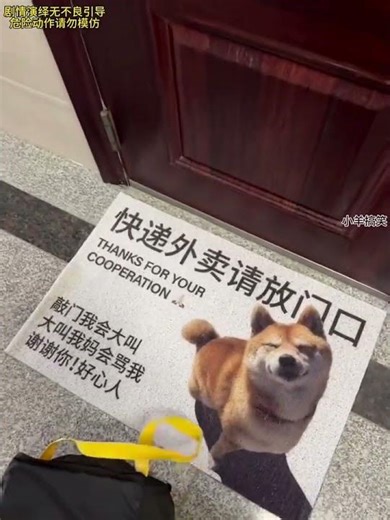 🤣 Funniest Fails Ever | Try Not To Laugh 😂 | PART 19 | #shorts