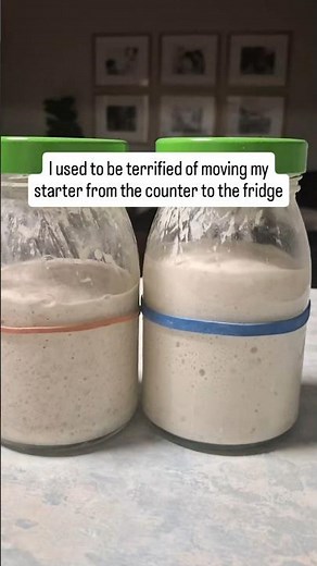 How to maintain your sourdough starter in the fridge?