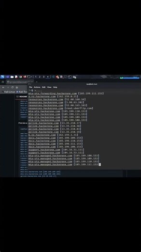 DNSX for Ethical Hackers | High‑Performance DNS Probing & Subdomain Discovery